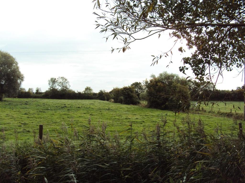 Withy Cottages Langport Eksteriør bilde